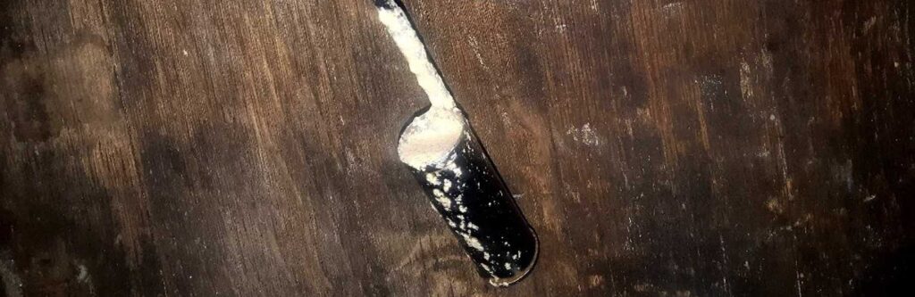 crianza velo de flor