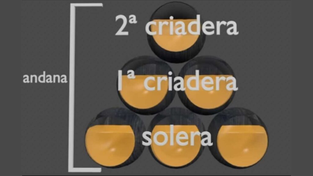 el sistema de criaderas y solera tipico andaluz vinos del condado