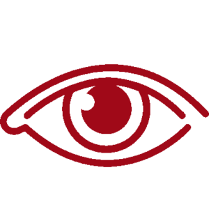 eye 2 300x30033